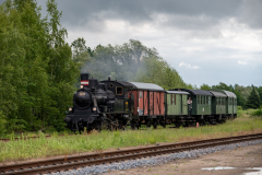 SMM_8781