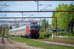 SMM_6068