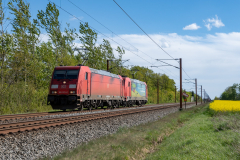 SMM_6085