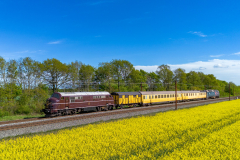 SMM_6095