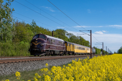 SMM_6096