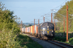 SMM_6123