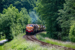 SMM_9231