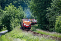 SMM_9235