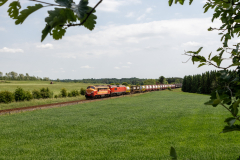 SMM_9263