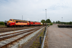 SMM_9295