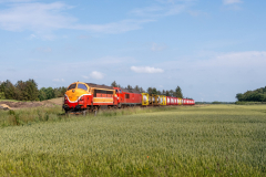SMM_9366