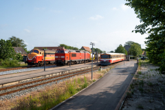 SMM_9422