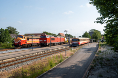 SMM_9423