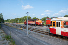 SMM_9437