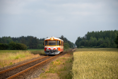 SMM_9452