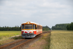 SMM_9456