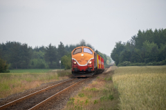 SMM_9463