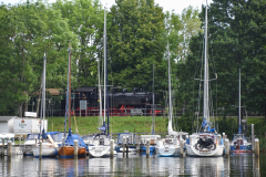 DSC_2503