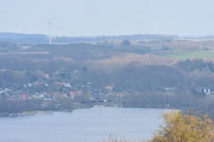 DSC_0305