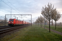 SMM_0145