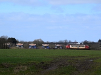 DSC_0269.JPG