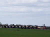 DSC_0332.JPG