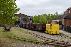 SMM_6659
