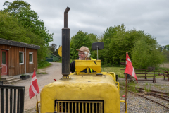 SMM_6719