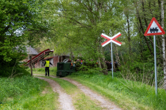 SMM_6833