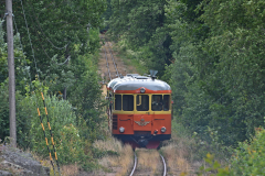 DSC_6393