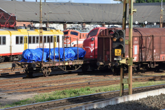 DSC_6952