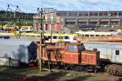 DSC_6969
