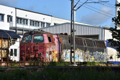 DSC_6984