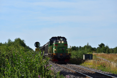 DSC_6585