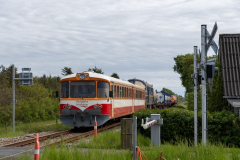 SMM_2249