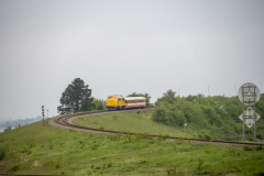 SMM_2476