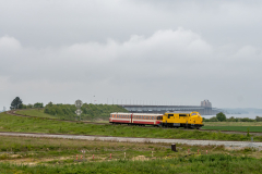 SMM_2493