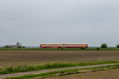 SMM_2705