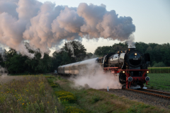 SMM_6247
