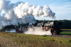 SMM_6341