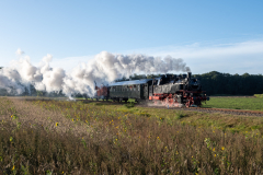 SMM_6367