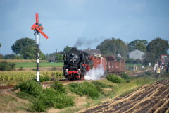 SMM_6394