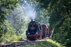 SMM_6594