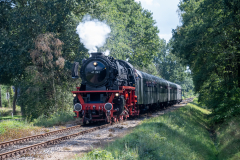 SMM_6629