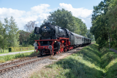 SMM_6634