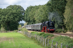 SMM_6646