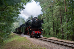 SMM_6711
