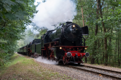 SMM_6714