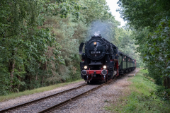 SMM_6736