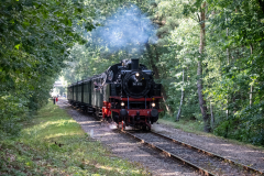 SMM_6753