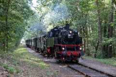 SMM_6758