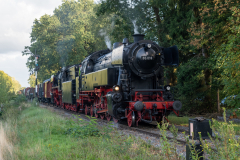 SMM_6909