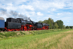 SMM_7571