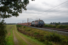SMM_6141